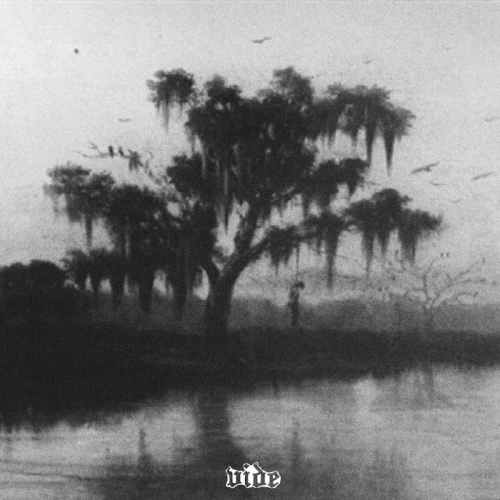 Vide (USA-2) : Hanging by the Bayou Light